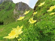 Bello il ‘Sentiero delle panchine ‘ ad anello da San Simone-Passo San Simone + Forcella Rossa-17giu25 - FOTOGALLERY